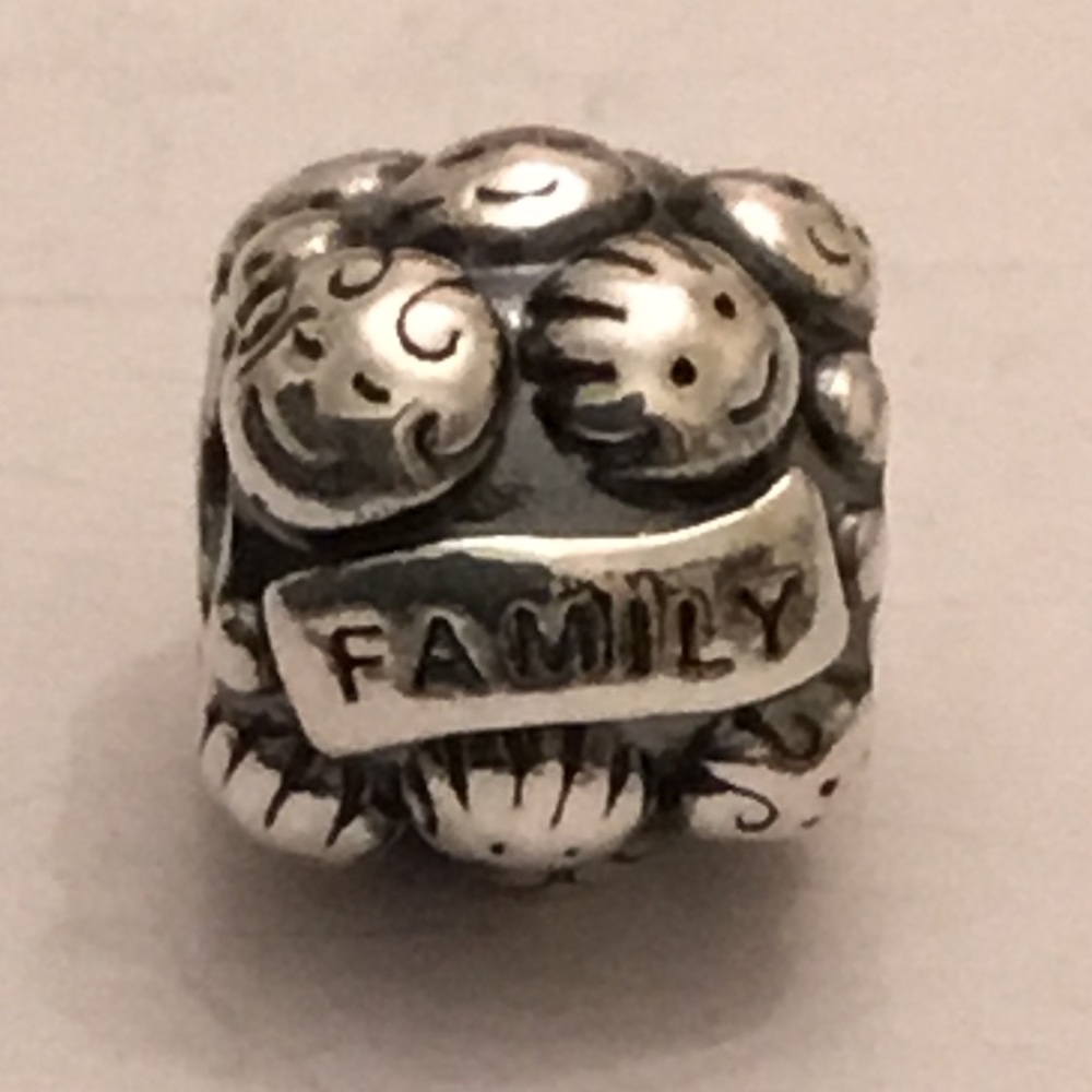 Pandora Family Charm